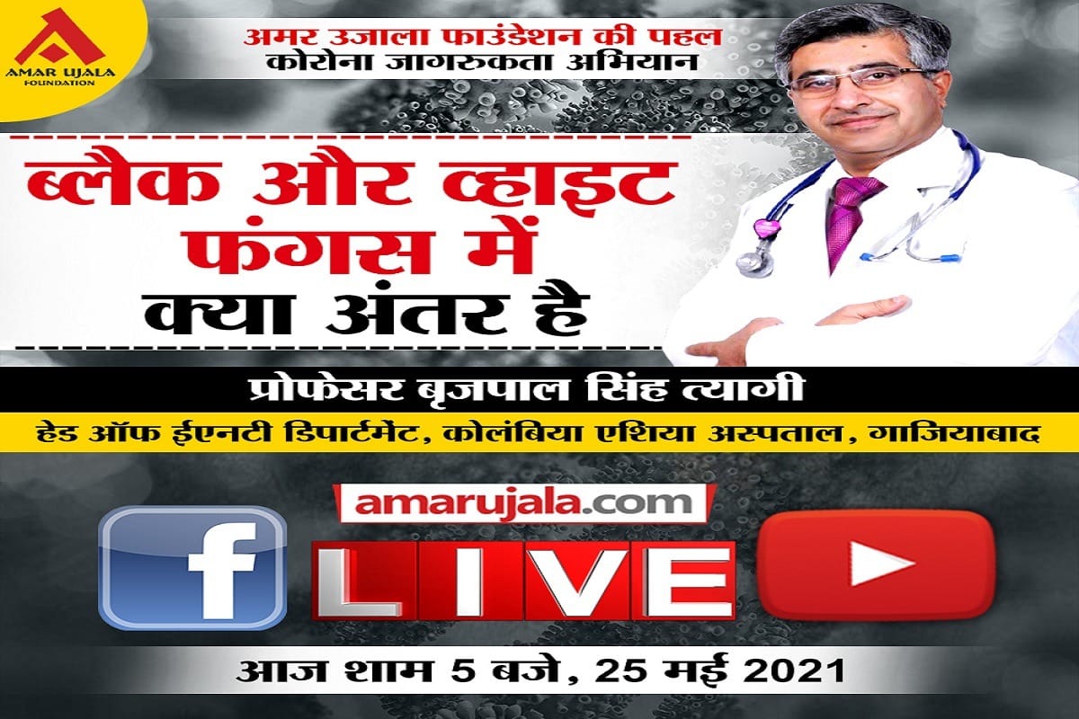 all difference you need to know between black fungus and white fungus from experts know what any person can infected amar ujala foundation Initiative