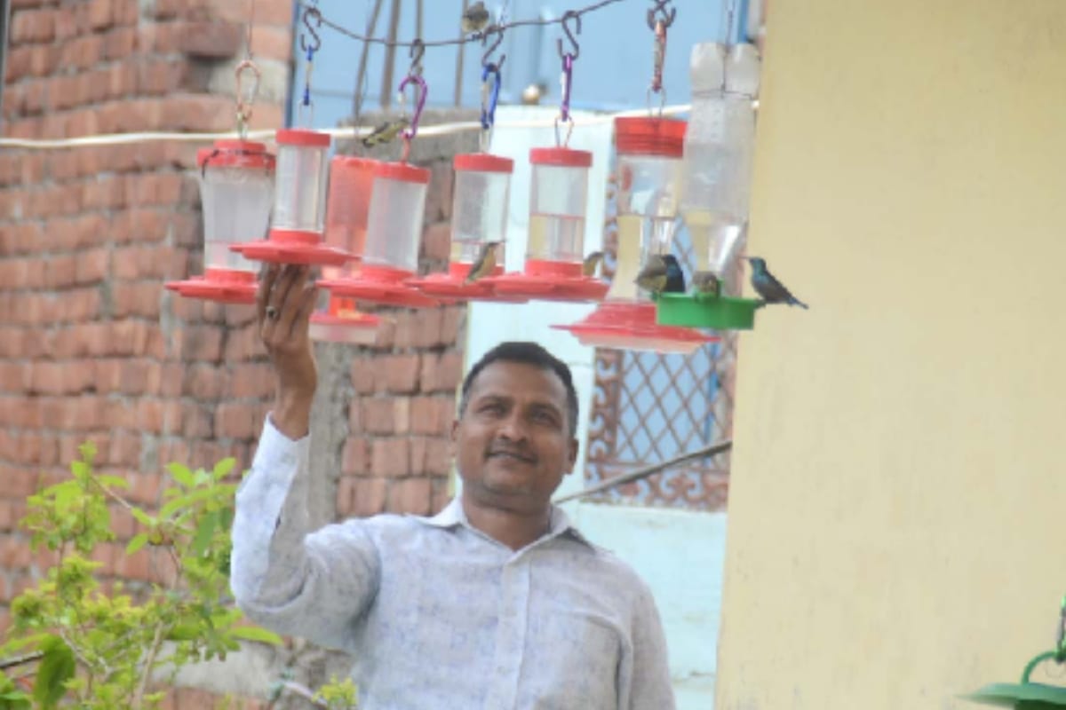 Satveer from Baghpat is also conserving birds along with traffic control