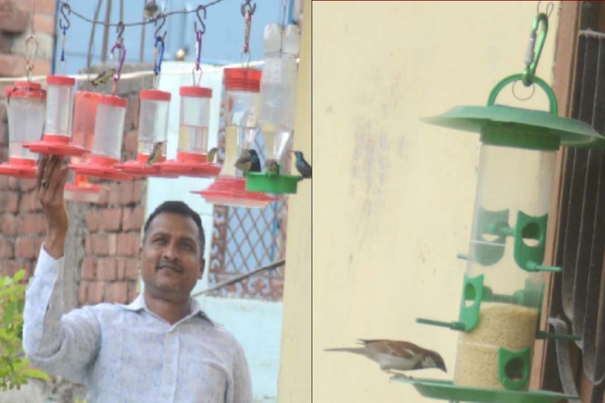 Satveer from Baghpat is also conserving birds along with traffic control