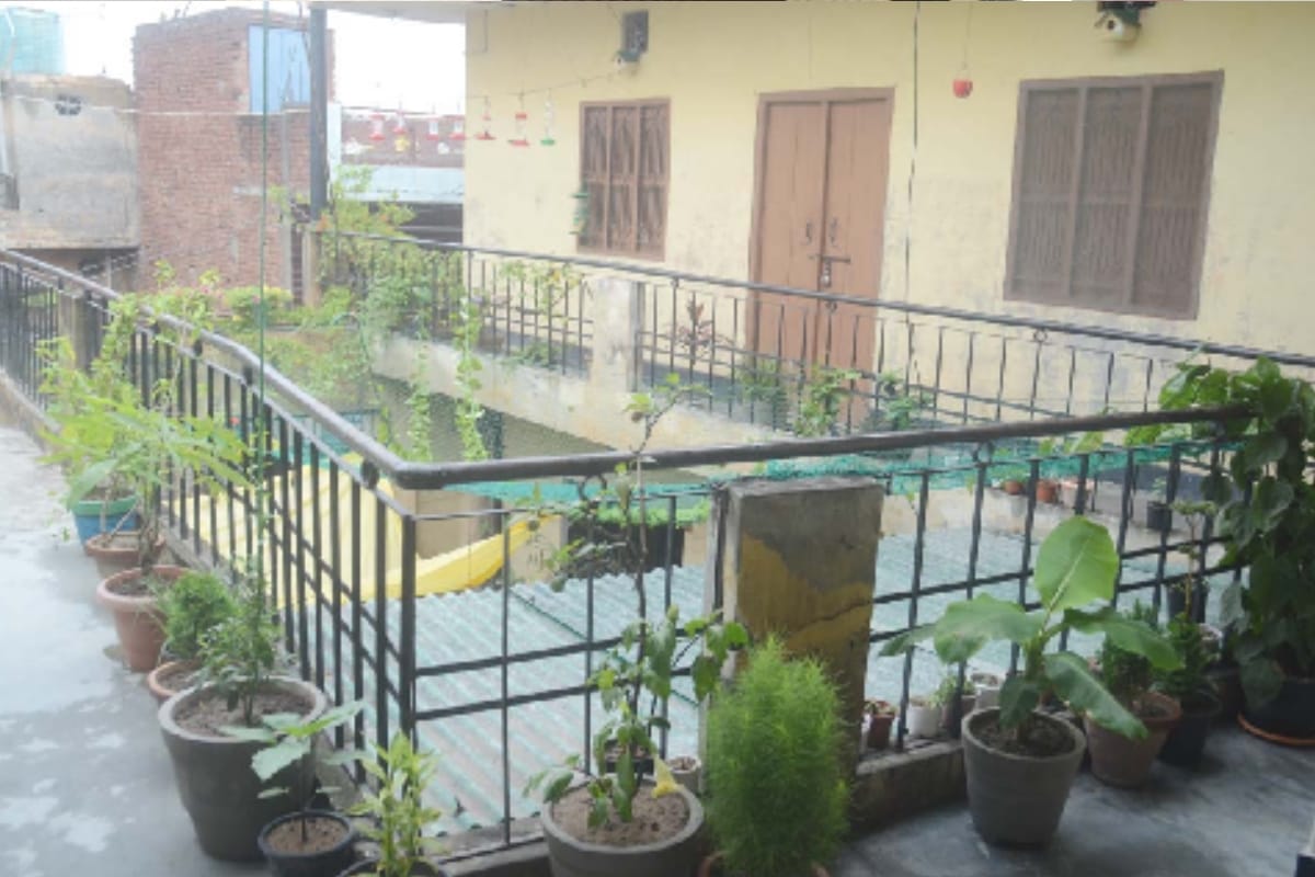 Satveer from Baghpat is also conserving birds along with traffic control