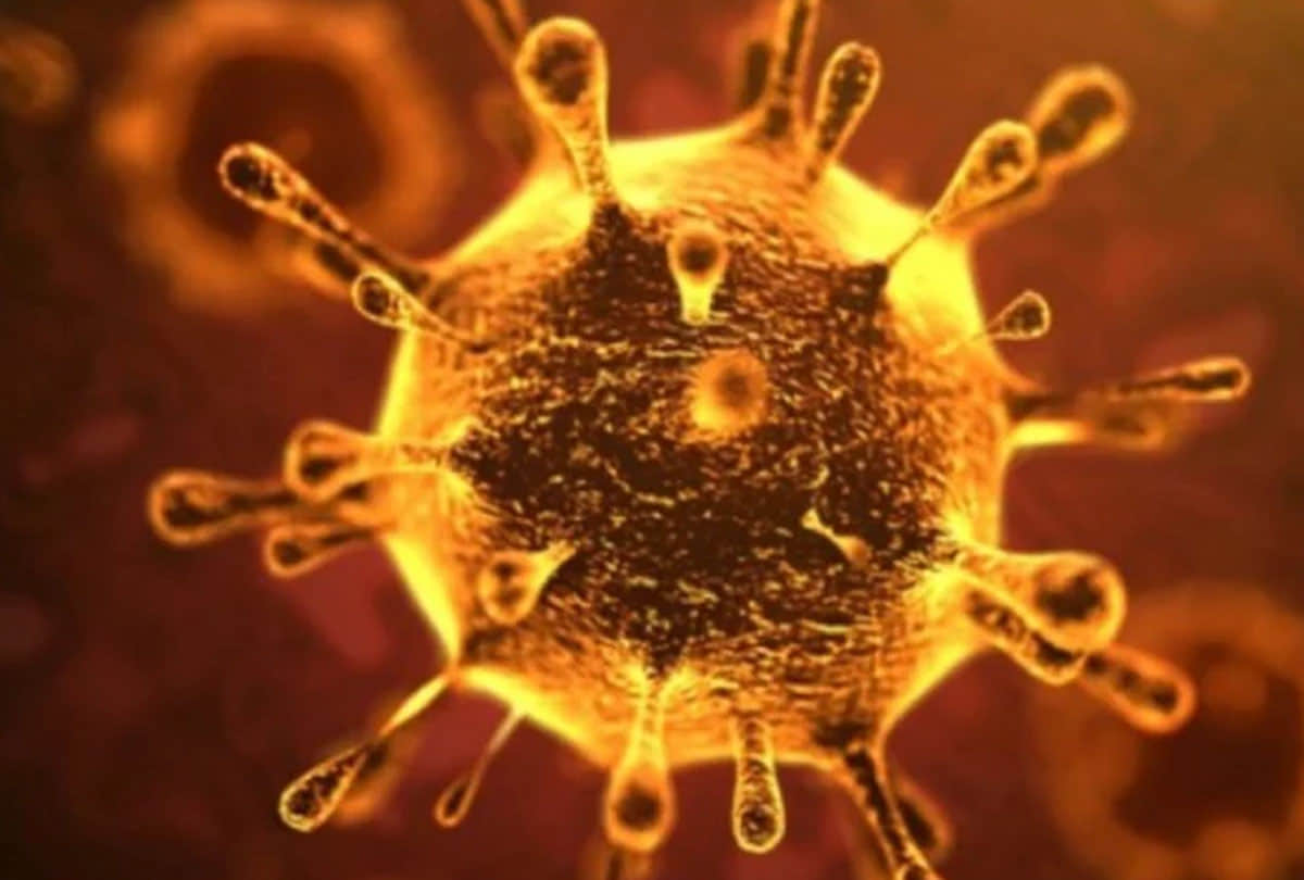 Hindi News Headlines 6 june Today: Important and big news stories of 6 june updates on Amar Ujala