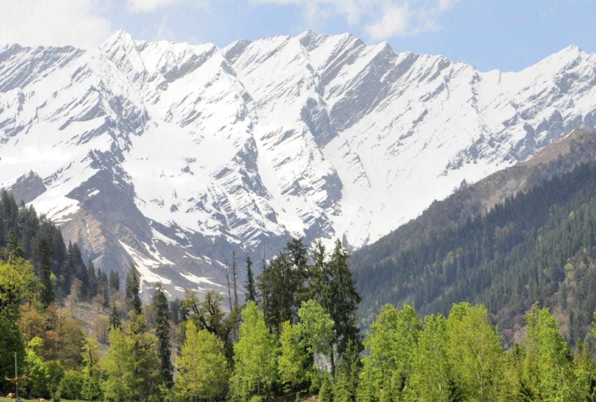 Environment cleared due to lockdown in Himachal, increased yield of flora