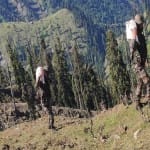 भारतीय सेना