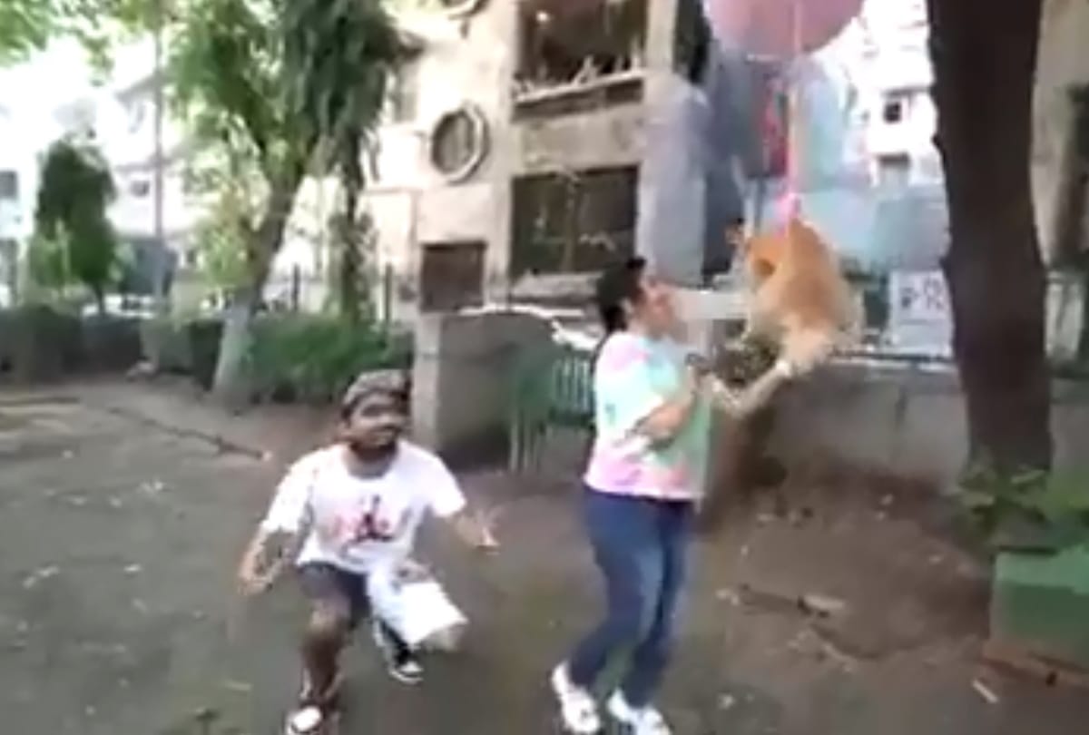delhi youtuber arrested for flying dog with hydrogen balloon animal cruelty case filed