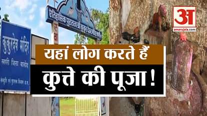 story of dog worship in kukurdev temple in raipur chhattisgarh