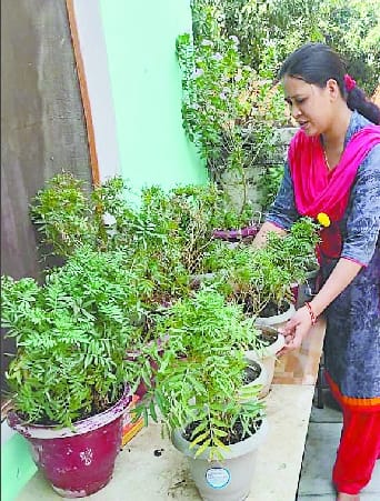 Kitty party, outing and forgetting, youngsters are engaged in gardening