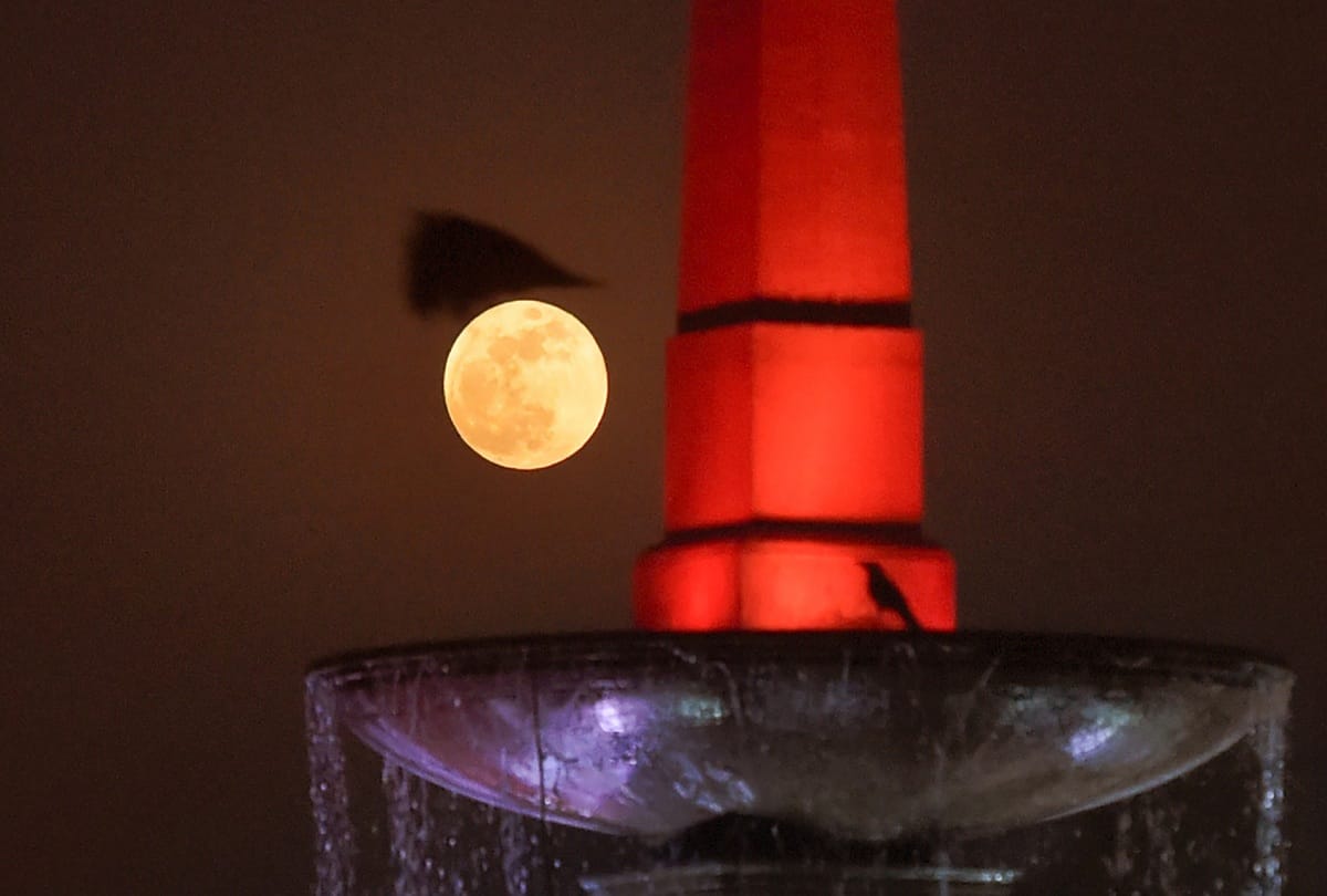 Lunar Eclipse or Chandra Grahan 2021 Photos see here