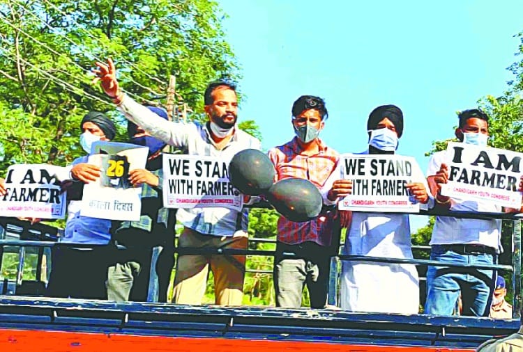 Shiromani Akali Dal, BSP and Aam Aadmi Party hoist black flags in support of farmers