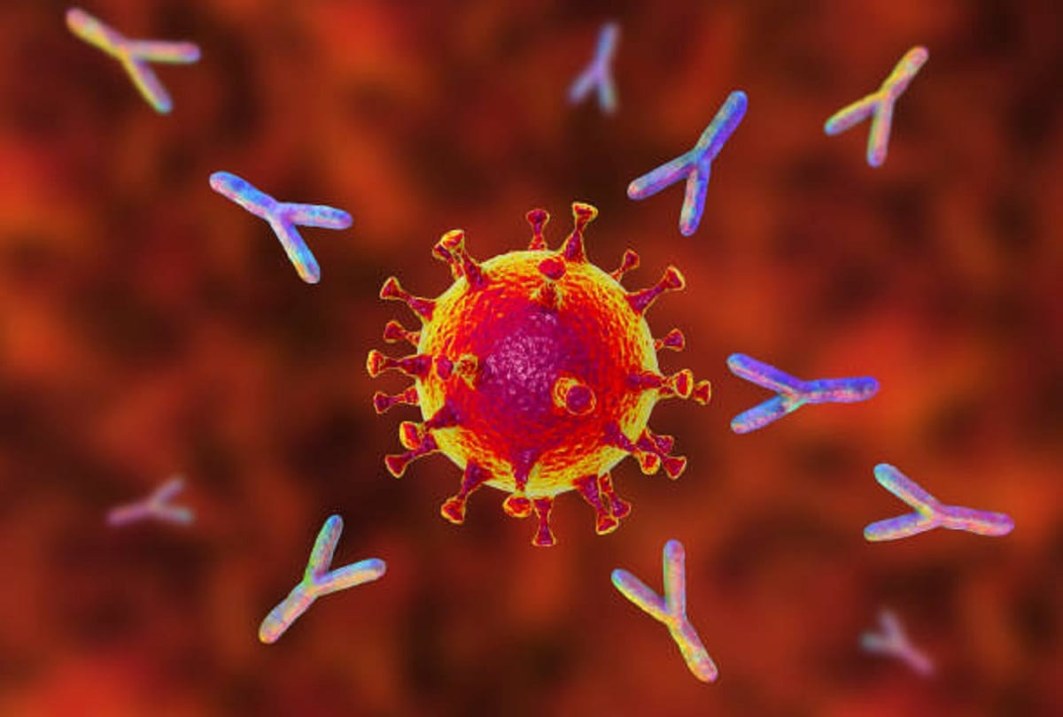 Scientists identified antibodies that neutralise Corona variants, block Omicron variant too