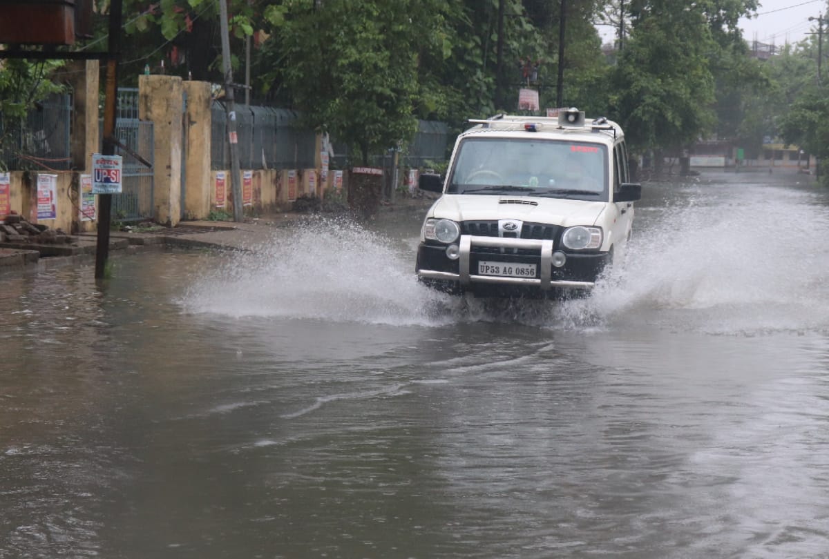 Now the location of the tigress found near the temple in the coal plant