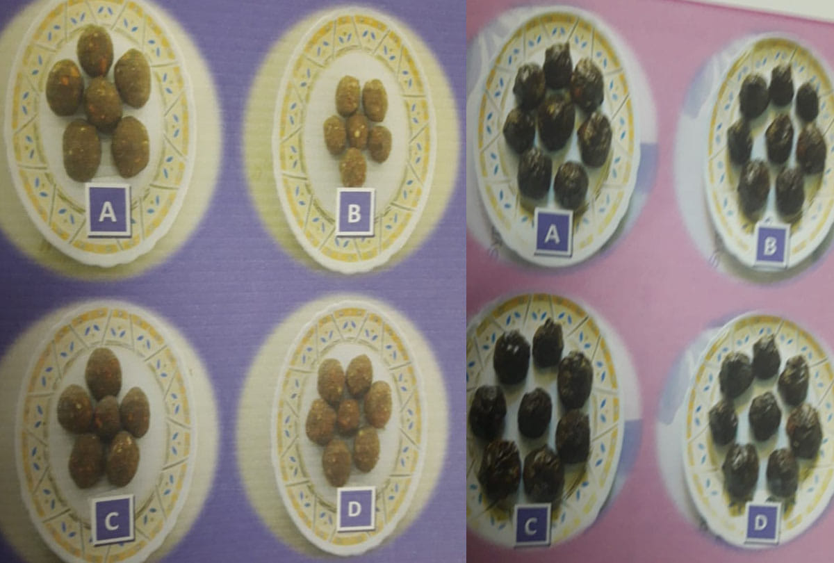 immunity booster momoj and laddu powder made by scientist of csa