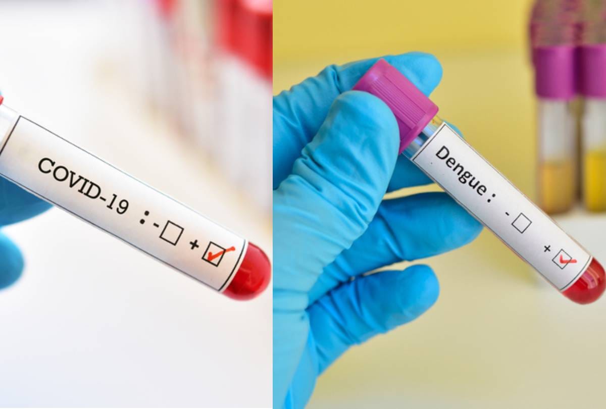 how to differentiate between dengue malaria and covid-19, all you need to know