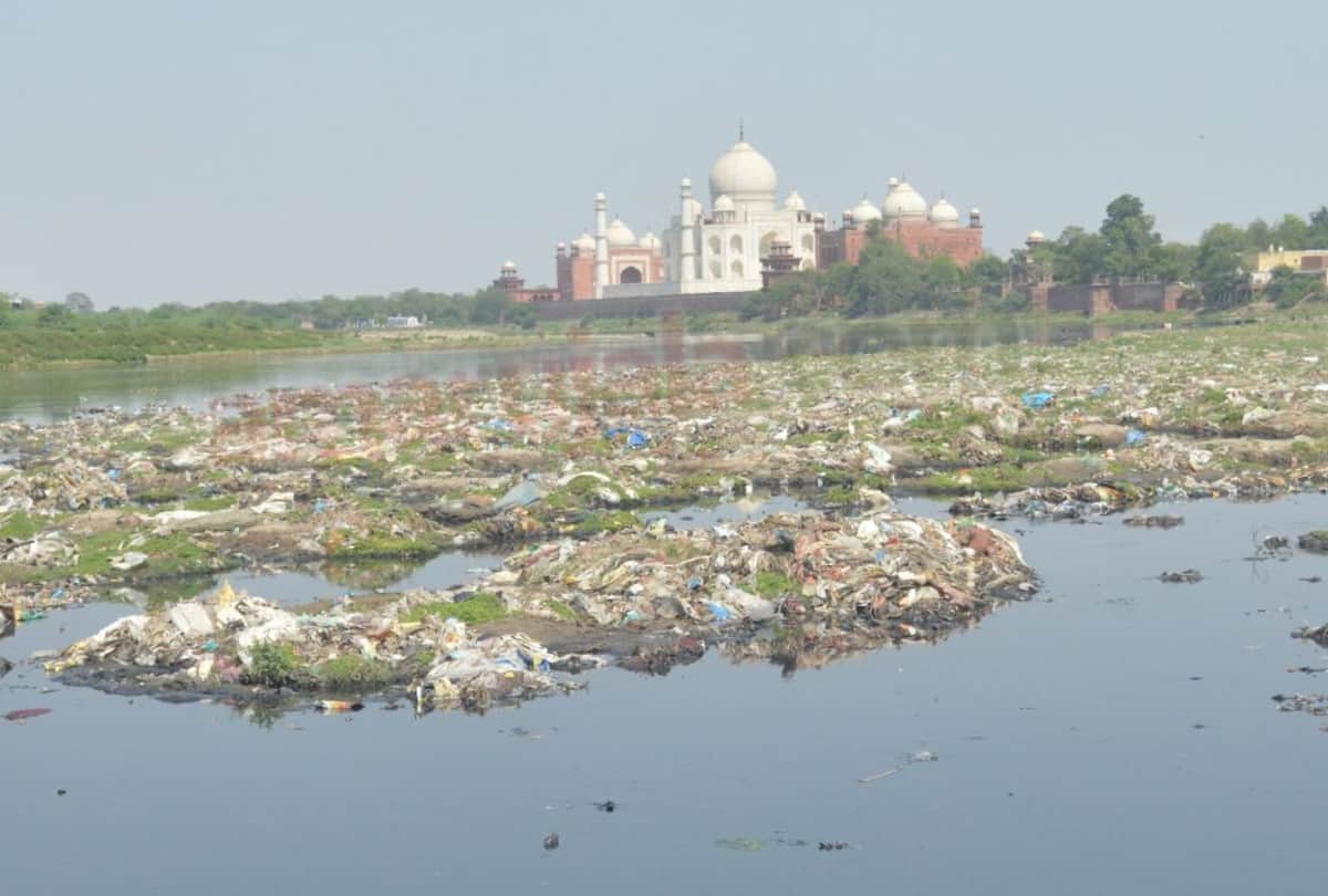 Pollution Level Rises In Yamuna River Update News