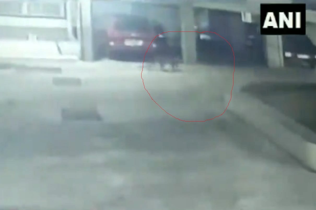 leopard spotted in a resident colony in Goregaon area of Mumbai