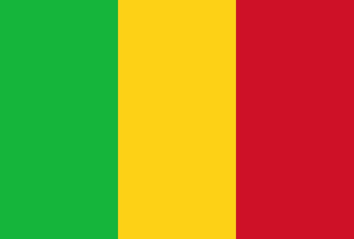 Mali court appoints Assimi Goita as interim president
