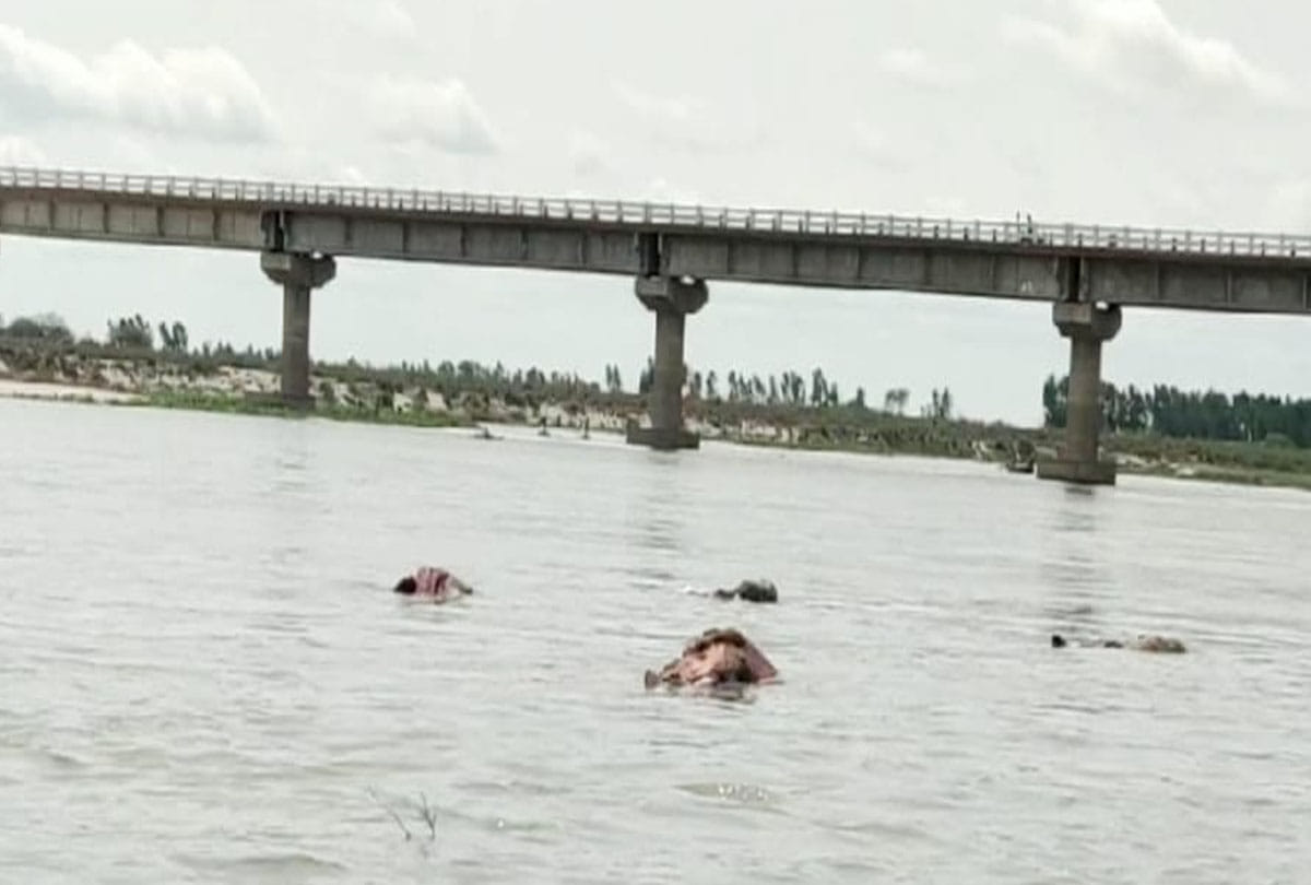 dead bodies found in ganga river in unnao