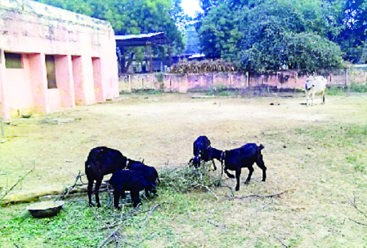 kanpur coronavirus cases covid 19 pandemic, coronavirus third wave