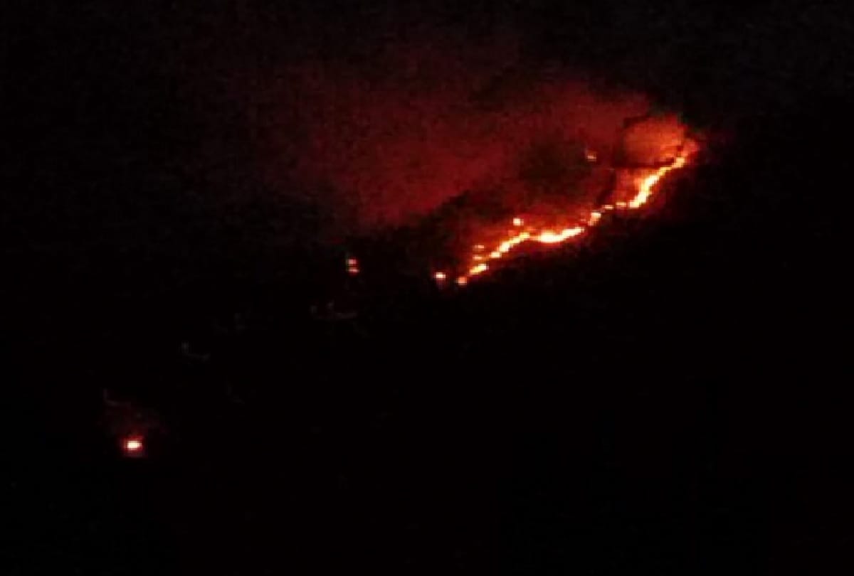 A massive fire broke out in a forest in the Ghordi area of Udhampur district