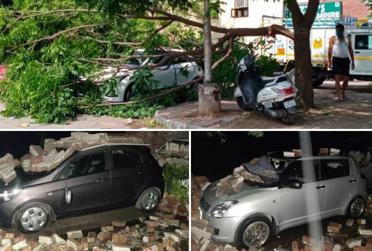 Many trees uprooted and cars damaged due to storm in Chandigarh