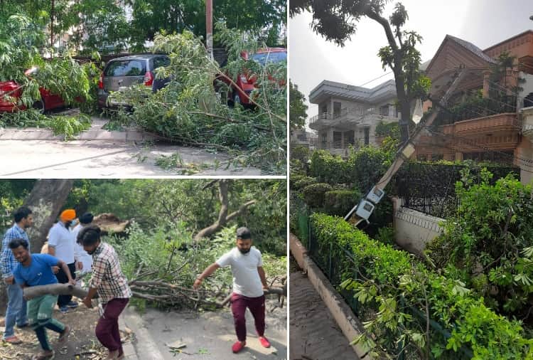 Many trees uprooted and cars damaged due to storm in Chandigarh