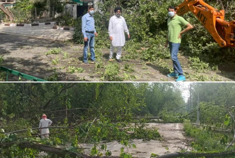 Many trees uprooted and cars damaged due to storm in Chandigarh