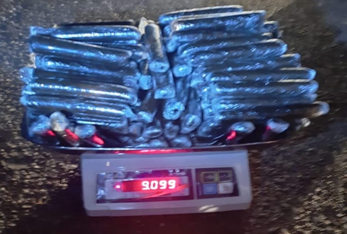 Himachal pradesh 9 kg charas seized from peddlers two arrested in kullu