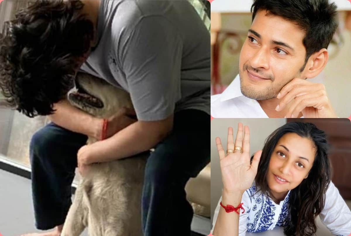 Mahesh Babu wife Namrata Shirodkar revealed husband daily morning ritual shared photo cuddling his pet