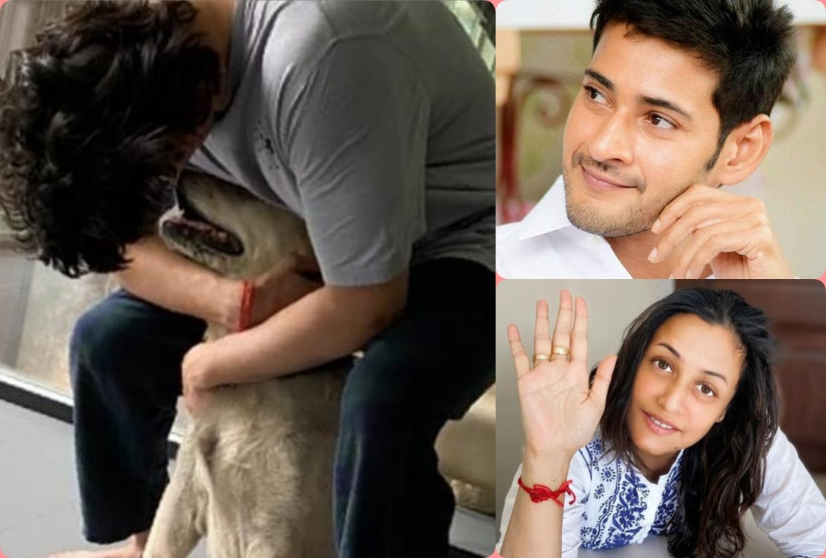 Mahesh Babu wife Namrata Shirodkar revealed husband daily morning ritual shared photo cuddling his pet