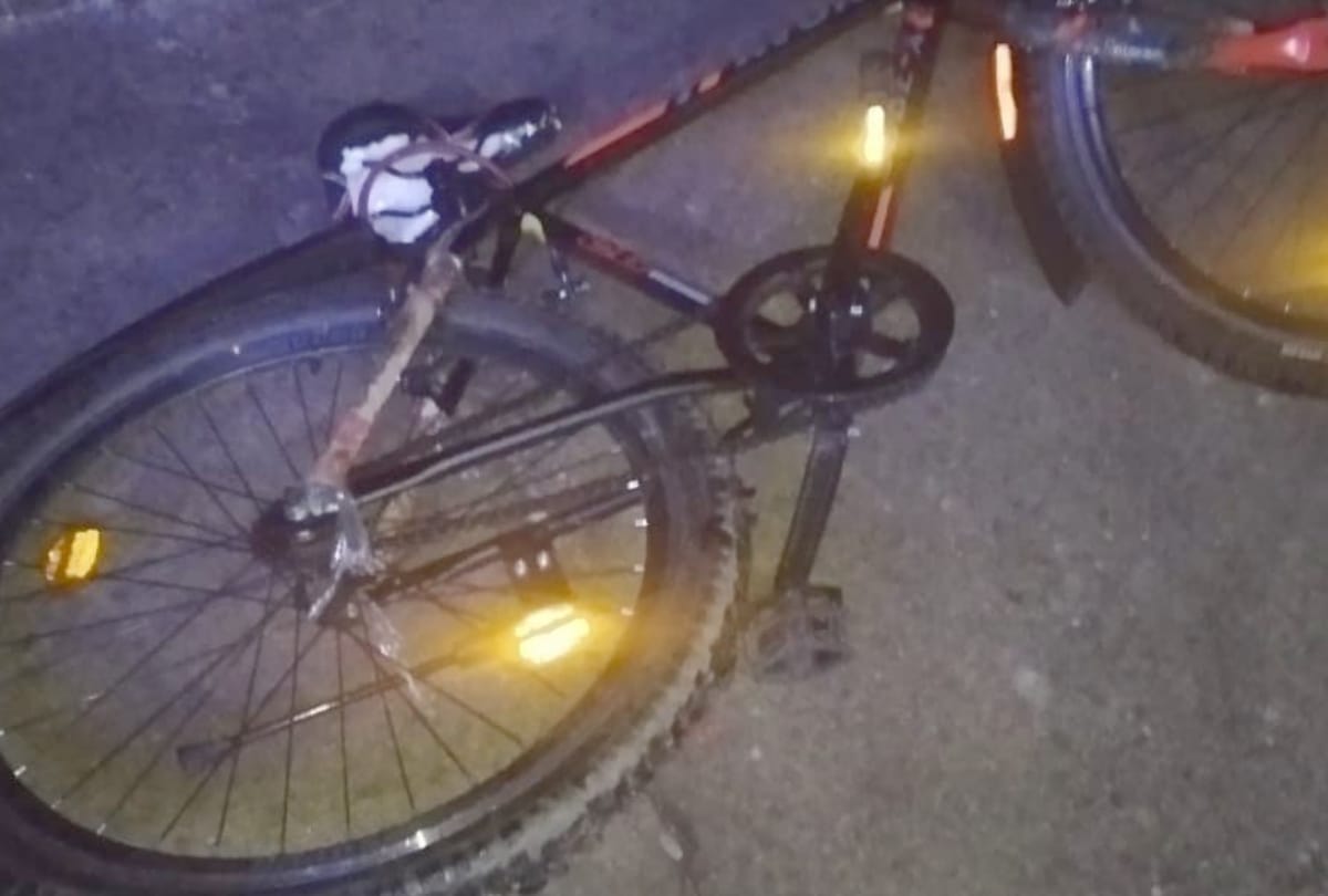 Himachal News: Snake wrapped around the handle of bicycle