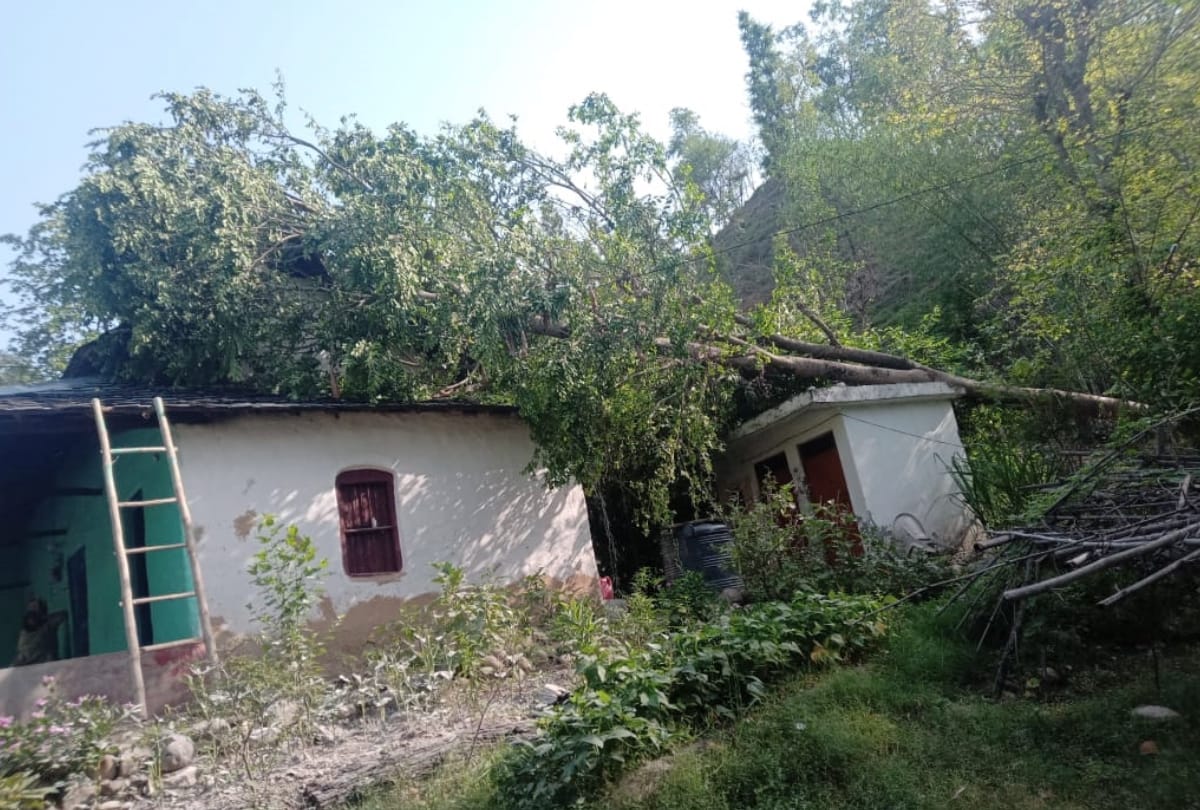 Weather Update himachal: rain thunderstorm yellow alert for three days in himachal pradesh