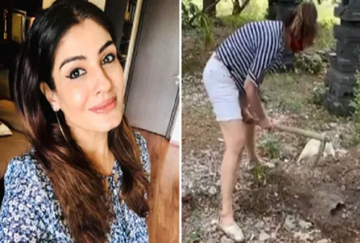 Video Raveena Tandon posts video proof after users ask she really worked on her farm