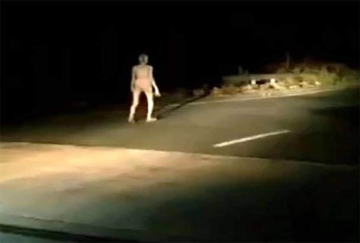 Jharkhand hazaribagh strange creature has been seen in midnight people says alien