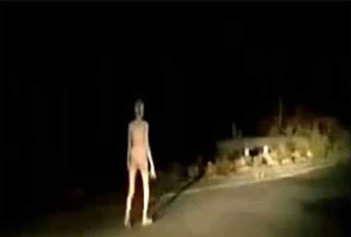 Jharkhand hazaribagh strange creature has been seen in midnight people says alien