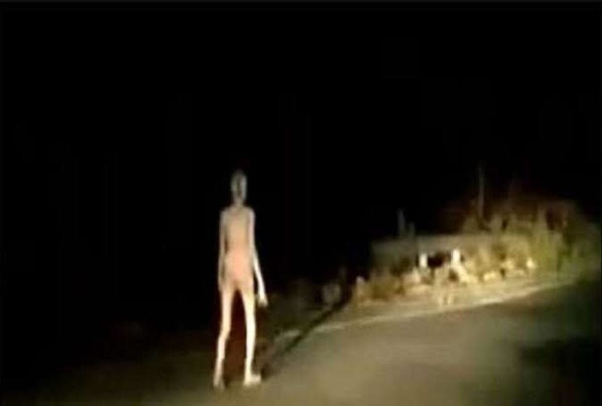 Jharkhand hazaribagh strange creature has been seen in midnight people says alien
