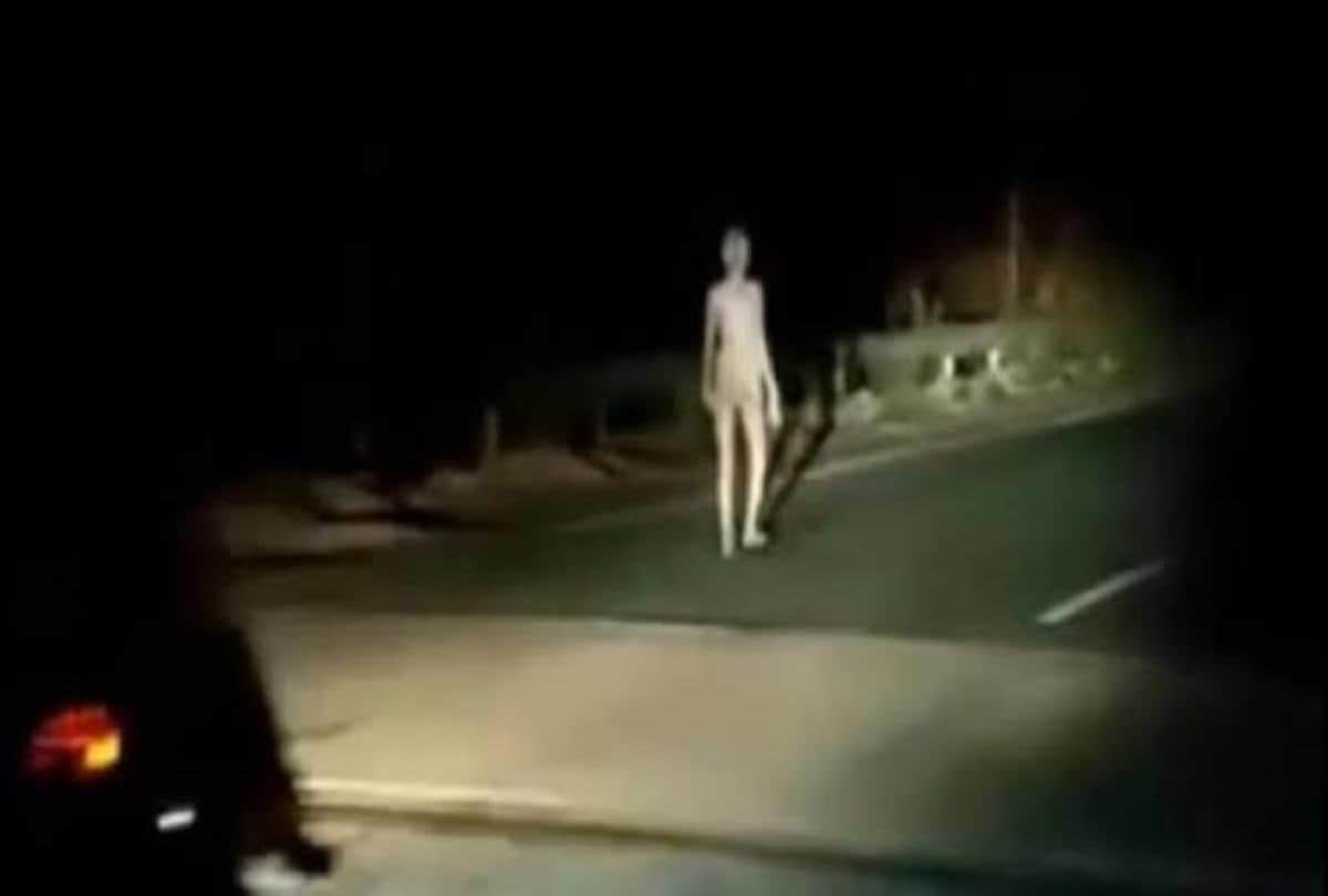Jharkhand hazaribagh strange creature has been seen in midnight people says alien