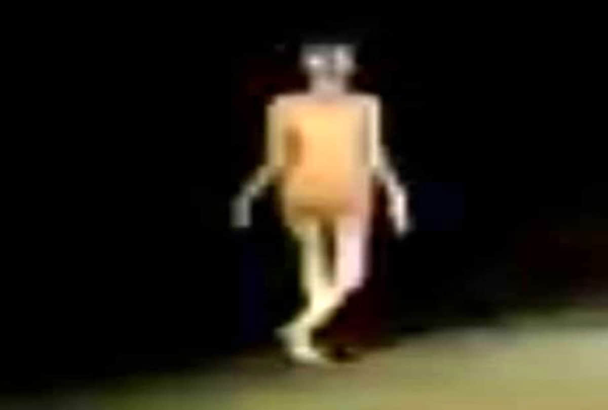 Jharkhand hazaribagh strange creature has been seen in midnight people says alien