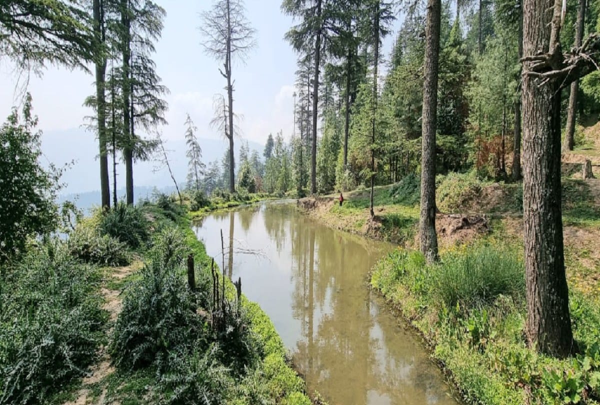 villagers built an artificial lake in the forest at an altitude of 8000 feet after water dried in the steps