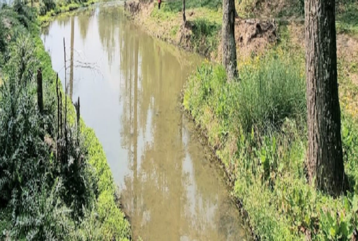 villagers built an artificial lake in the forest at an altitude of 8000 feet after water dried in the steps