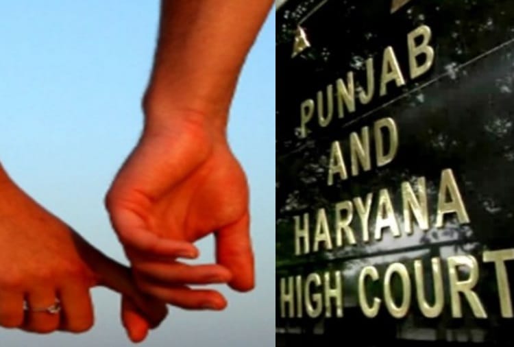 Punjab and Haryana Highcourt Says couple who is in Live in relationship are also eligible for security 