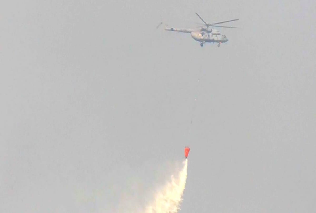 fire in forests of Udhampur has been extinguished Forest wealth worth lakhs of rupees in two days