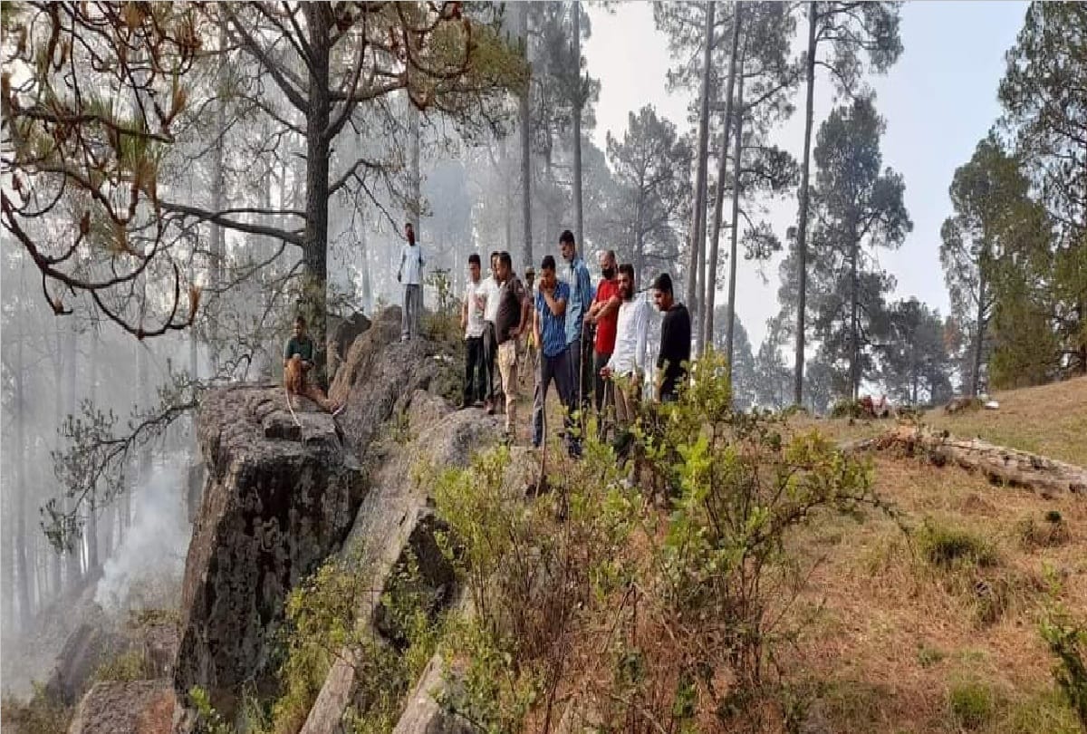 fire in forests of Udhampur has been extinguished Forest wealth worth lakhs of rupees in two days