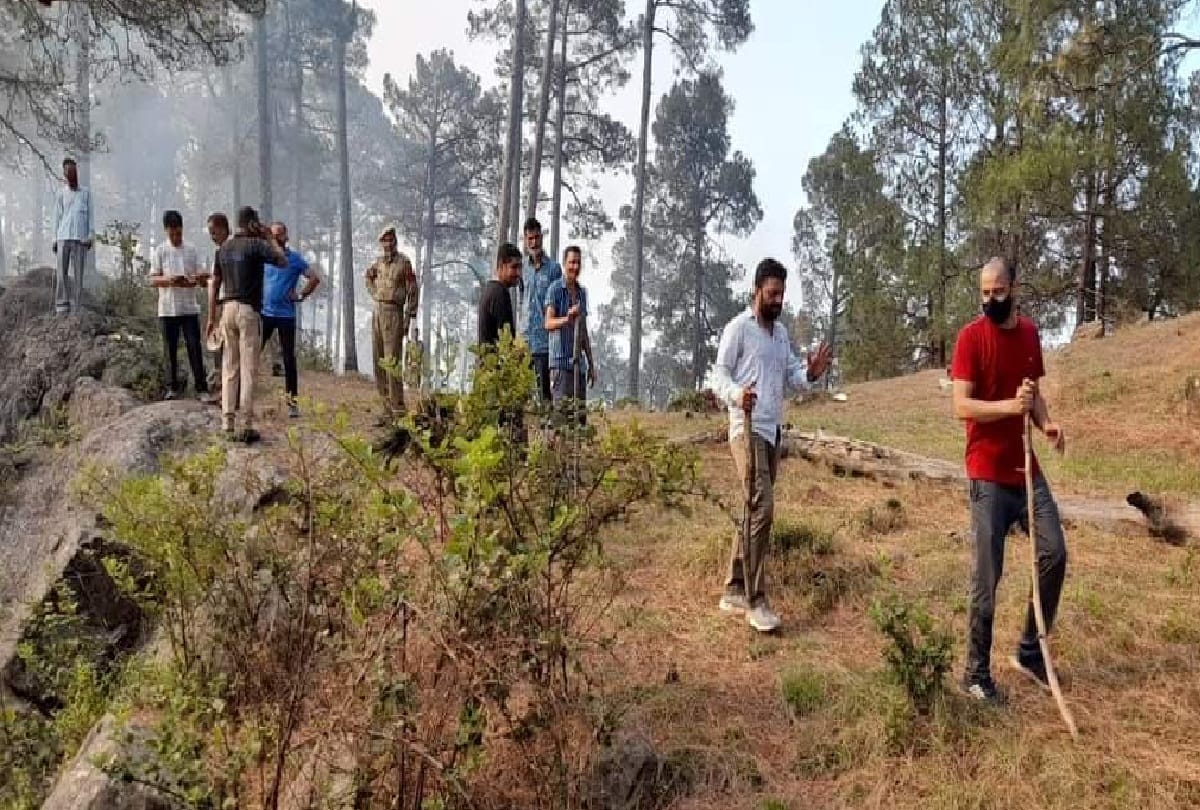 fire in forests of Udhampur has been extinguished Forest wealth worth lakhs of rupees in two days