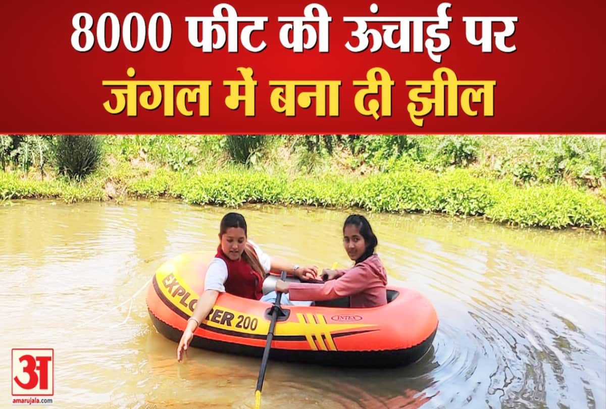 जंगल में बनाया तालाब।