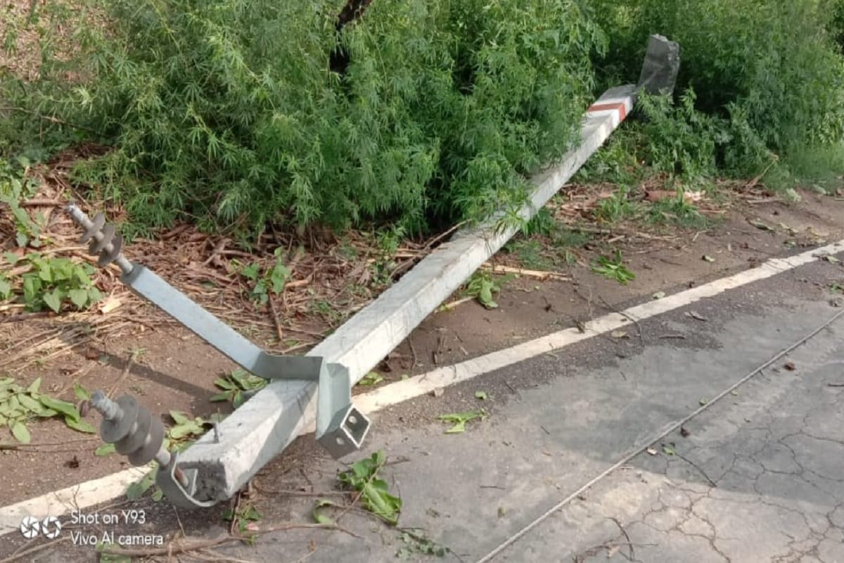 Baghpat News: Pillars were broken due to falling trees, shadows darkened in 35 houses
