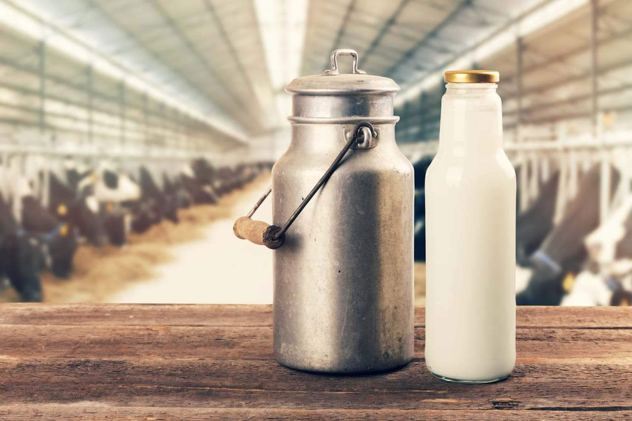 Punjab dairy farmers to protest on May 21
