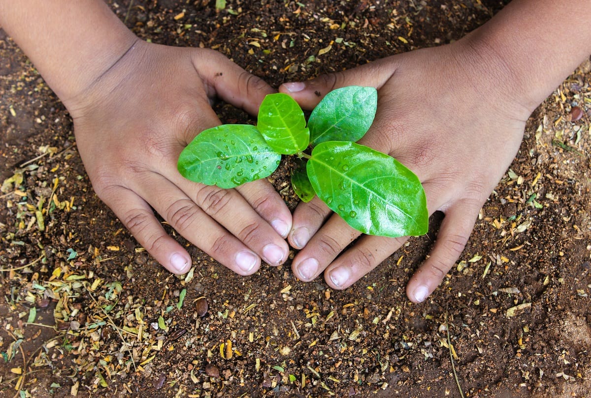 World Environment Day 2022 Only One Earth Pollution Cause harm To climate and human