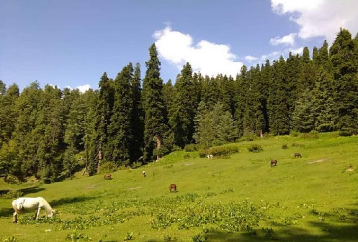 Jammu and Kashmir: After the relaxation of curfew, people are celebrating picnic in the mountains, told these places as paradise