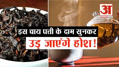 most expensive tea da hong pao chinese wild tea leaf