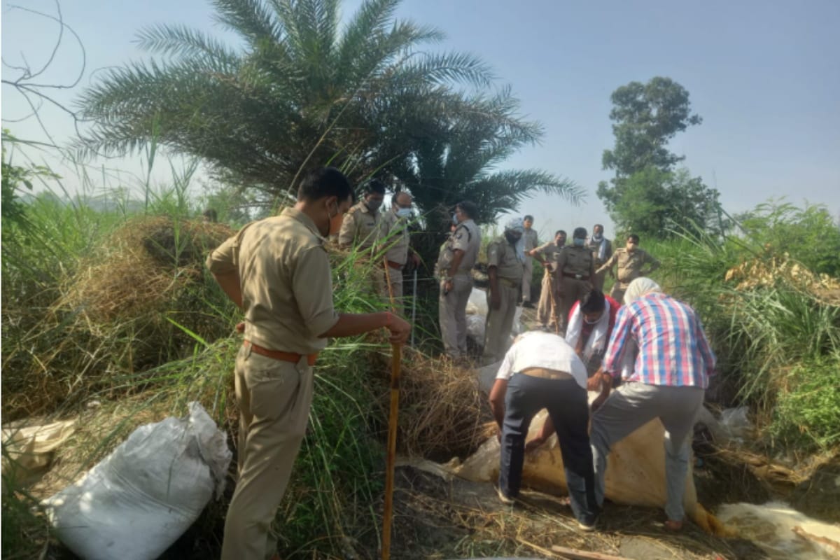 Meerut News: police raid in many village of Hastinapur and Seven thousand liters of Lahan destroyed