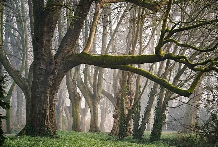 Weekend Travel Tips Best Forest to Visit in Delhi at Weekend in Hindi